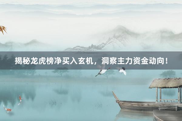 揭秘龙虎榜净买入玄机，洞察主力资金动向！