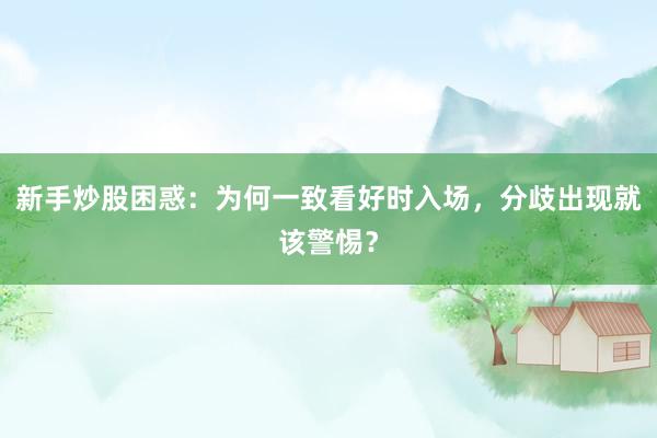 新手炒股困惑：为何一致看好时入场，分歧出现就该警惕？