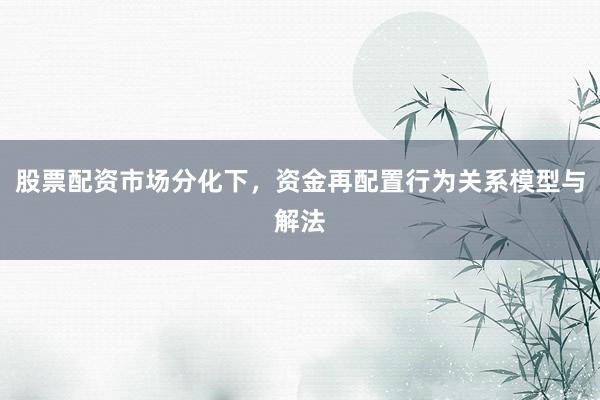 股票配资市场分化下，资金再配置行为关系模型与解法