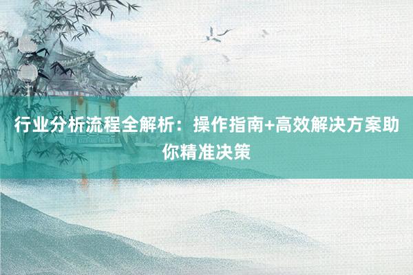 行业分析流程全解析：操作指南+高效解决方案助你精准决策