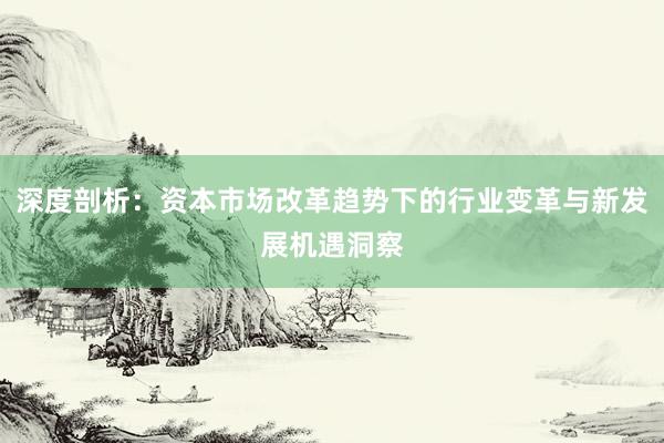 深度剖析:资本市场改革趋势下的行业变革与新发展机遇洞察