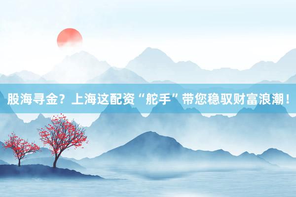 股海寻金？上海这配资“舵手”带您稳驭财富浪潮！