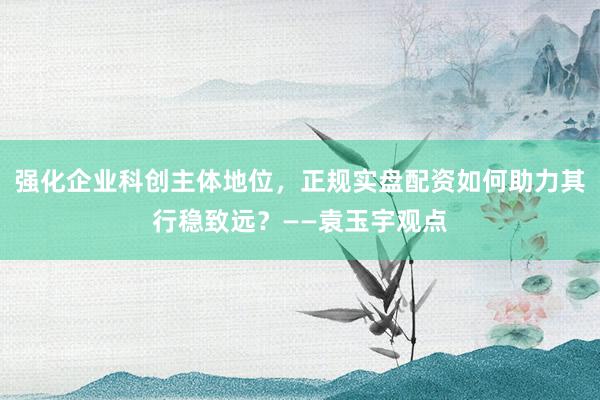 强化企业科创主体地位，正规实盘配资如何助力其行稳致远？——袁玉宇观点